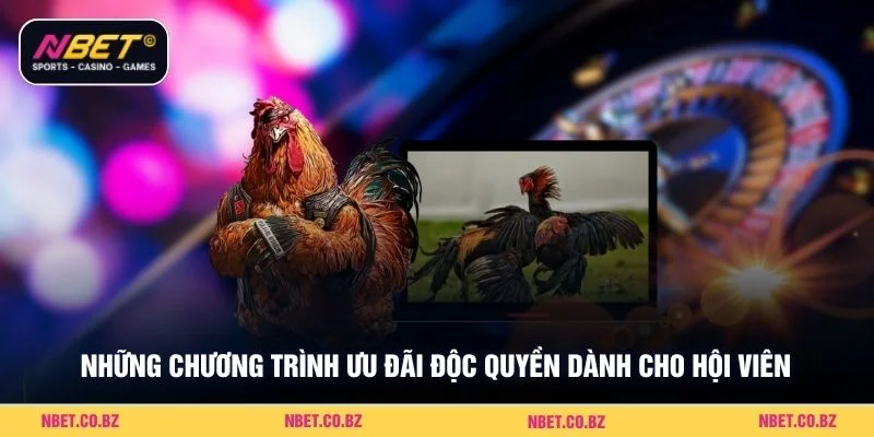 Những chương trình ưu đãi độc quyền dành cho hội viên